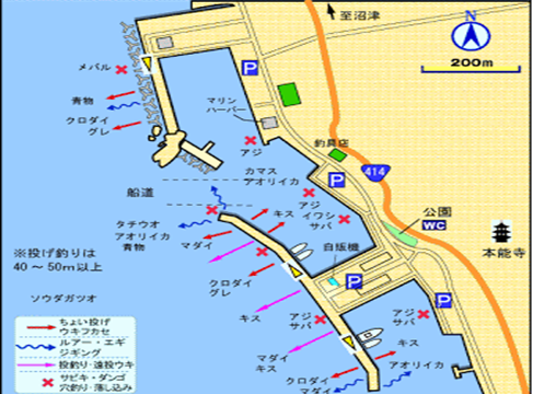 静岡県の釣り場 静浦(しずうら)漁港 | 釣り場サイトFISH&MAPS